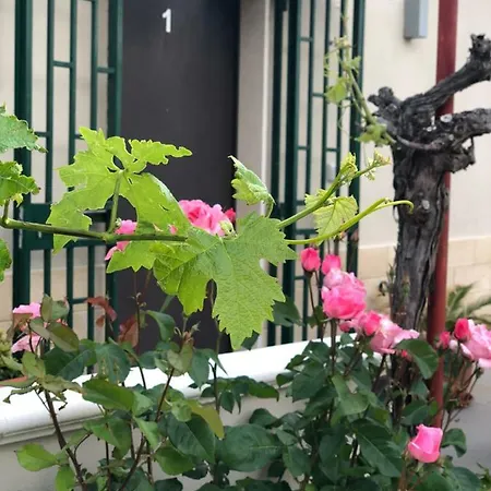 La Collinetta Dei Sassi *