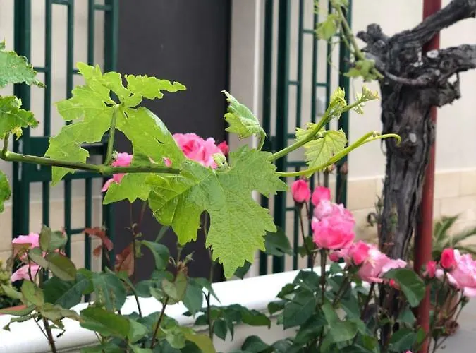 La Collinetta Dei Sassi *